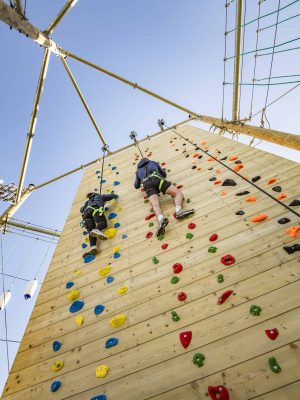 Vertical climbing wall with two climbers ascending.